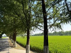 -嘉北郊野公园
