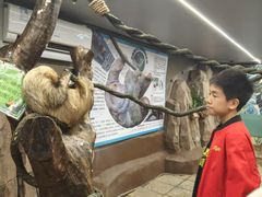 -正佳雨林生态植物园