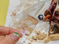 -维尔纳斯·生日蛋糕动物奶油冰淇淋蛋糕(人大店)