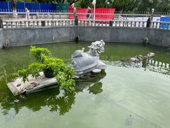 -凤凰山公园-龙王古庙