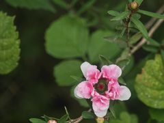 -北京植物园-展览温室