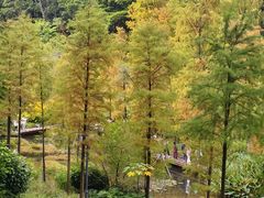 -云溪植物园