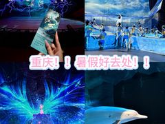 -重庆国际马戏城
