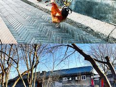 -春风习习