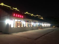 -大自然醉鹅·铁锅火焰鹅(上海联洋店)