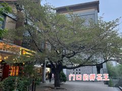 -大川先生·小龙虾·川菜(信义坊店)
