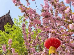 -西安青龙寺遗址景区