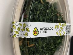 -油梨树AVOCADO TREE(嘉里中心店)