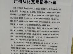 -艾米稻香小镇