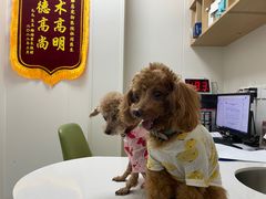 -美联众合动物医院(唯恩分院)