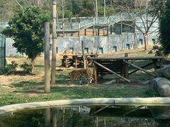 -泉州海丝野生动物世界