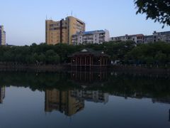 -孺子亭公园