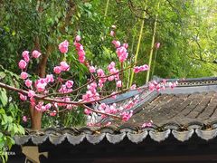 -汇龙潭