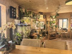 -Rabbit Cafe私房西餐甜点咖啡(栖霞路店)