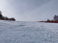 -密苑云顶乐园(云顶滑雪场)