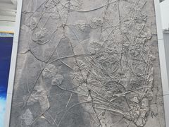-中国地质大学逸夫博物馆