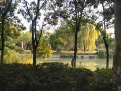 -南京奥林匹克体育中心-体育馆