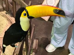 -Zoolung Zoolung动物主题公园(海信广场店)