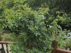 -乖乖佳花园山庄·私房菜(阿哈湖公园店)
