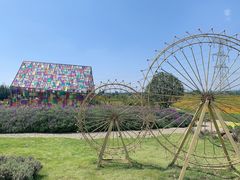 -紫颐香薰山谷景区