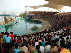 -秦皇岛乐岛海洋王国