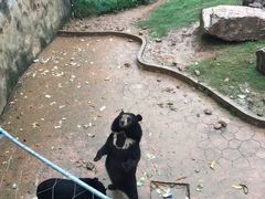 -无锡动物园·太湖欢乐园