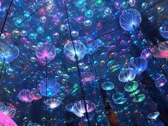 -天津梵高星空艺术馆(天河城旗舰店)