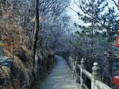 -塔云山