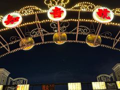 -武汉知音号