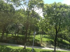 -晓港公园