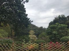 -深圳仙湖植物园