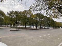 -安飞驰驾校·学车连锁(金高店)