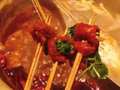 香菜牛肉-欧阳小姐在成都(爱琴海店)