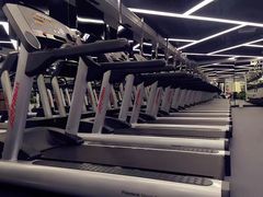 -金吉鸟健身游泳