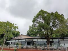 -岳阳市博物馆
