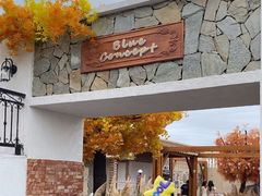 -Blue Concept Cafe&Farm·關於藍