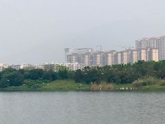 -飞来湖湿地公园