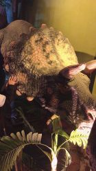 -恐龙探索乐园(磁器口店)