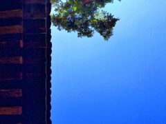 -张掖大佛寺景区