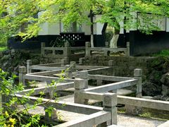 -昆山城市生态森林公园