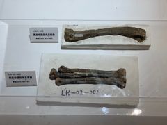 -海尔世界家电博物馆