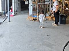 -长洲岛都市农业公园