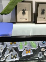 -酷嗒动物文化乐园(cutezoo西溪乐天城店)