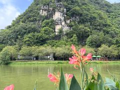 -星湖旅游景区七星岩
