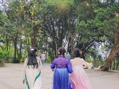 -武汉大学-樱园