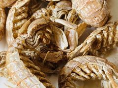 -宾朋海鲜饭庄(兴海路店)