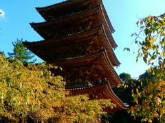 -醍醐寺