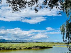 -野鸭湖国家湿地公园