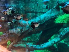 -沈阳海洋探索中心