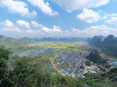 -会仙湿地